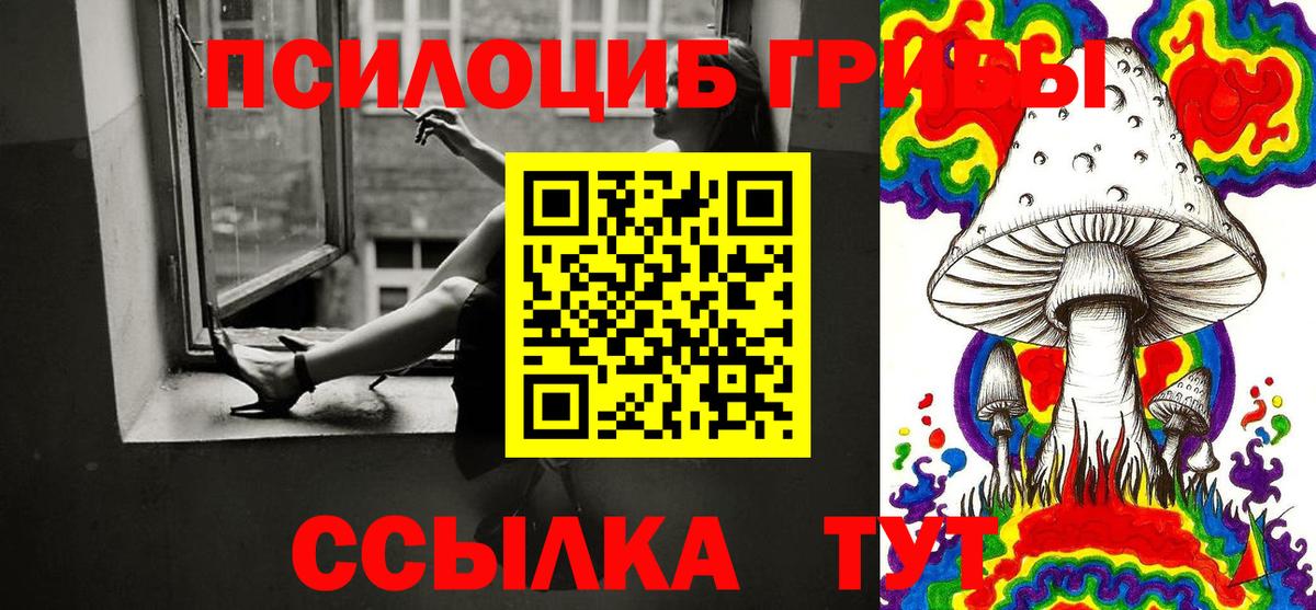 Галлюциногенные грибы Cubensis Добрянка